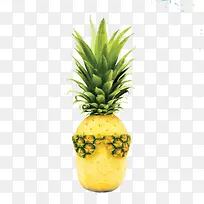 另类菠萝