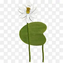 白色简约创意莲花
