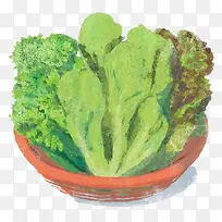 卡通生菜蔬菜