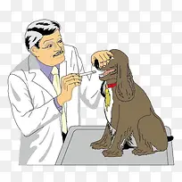 宠物医生治疗