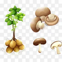 矢量手绘蔬菜