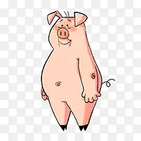 卡通胖猪