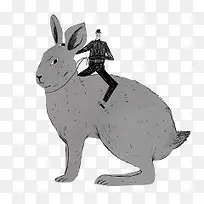 骑兔子