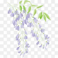 矢量紫色小花