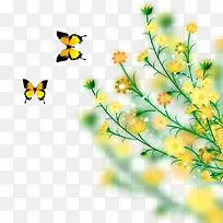 黄色花朵蝴蝶