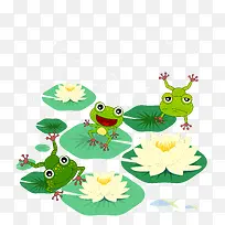 青蛙插图PNG下载
