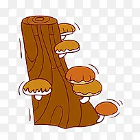 长在树上的蘑菇