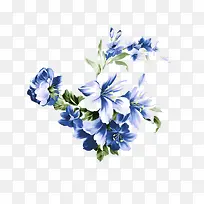 蓝色花瓣