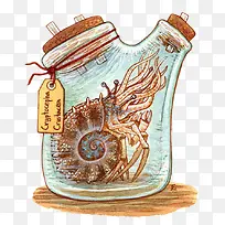 玻璃罐中的虾壳生物