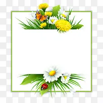 花朵方形标题框