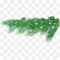 圣诞节绿色松叶装饰