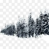 冬季雪树主题马甲海报