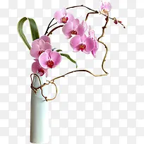 粉红色花朵白色花瓶