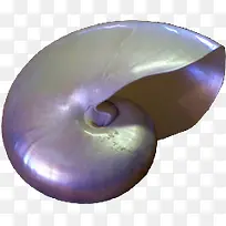 银色海螺螺旋