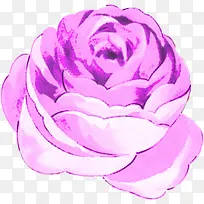 手绘紫色玫瑰展板