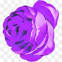 紫色玫瑰婚庆展板