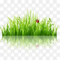 春季绿色草丛矢量图