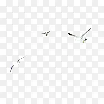 鸟