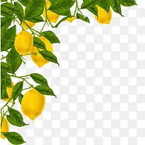 水彩绘柠檬树装饰
