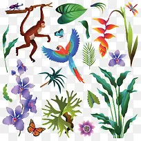 热带雨林动植物