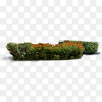 大树花园美景效果