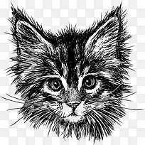 黑色手绘猫咪头像