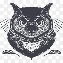 手绘的猫头鹰