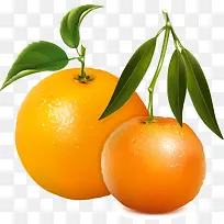 橙子png矢量素材