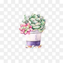 小清新插画广告设计卡通多肉盆栽
