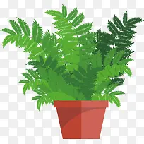 盆栽绿植PNG下载