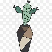 植物插画