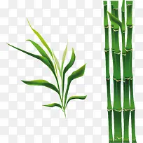 卡通绿色竹子