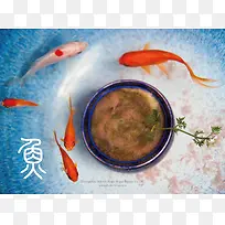 红鱼锦里跳跃盆栽