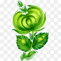 手绘植物