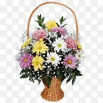 花卉图案素材绿植花卉