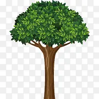 植物绿色大树