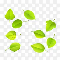 绿色叶子植物矢量图