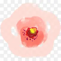 粉色花卉