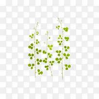 手绘植物
