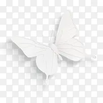 白色简约蝴蝶装饰图案