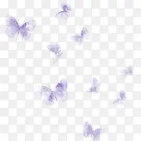 漂浮紫色蝴蝶