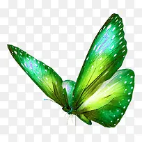 绿色蝴蝶