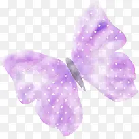 紫色卡通蝴蝶