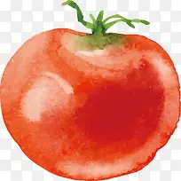水彩番茄设计