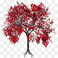 红色唯美绘图树