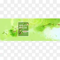 清新绿色背景