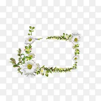 美丽花框