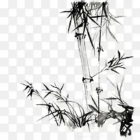 手绘竹子