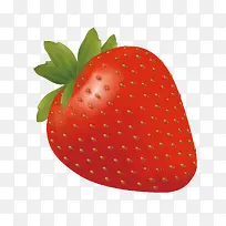 矢量手绘红色新鲜草莓