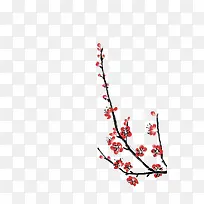 花卉